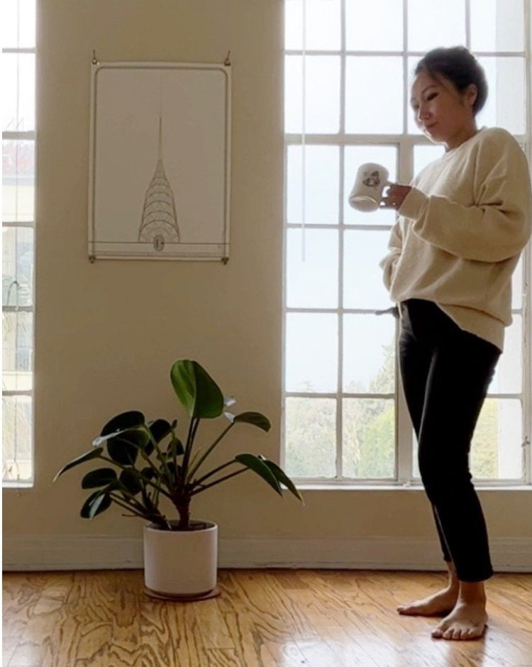 comfy cozy cotton crew long sleeve coffee